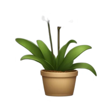 Orchids plant sticker