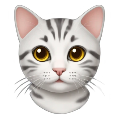 cute American shorthair cat  sticker