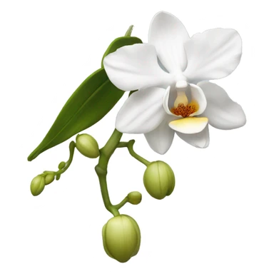 White orchid sticker