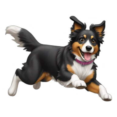 agility Aussie dog sticker