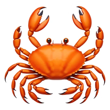 Bébé crabe  sticker