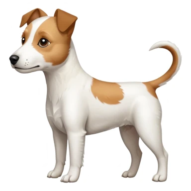 a full body slightly chubby white parson russell terrier looking dog the size of a kelpie with light brown long ears and a light brown patch on one eye and a large snout. the rest of the dog is completely white sticker