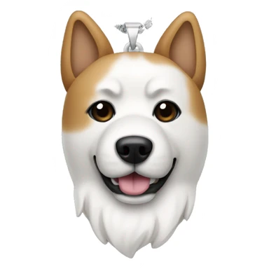 Dog akita, a necklace in the shape of a bone with Rocky written on it sticker