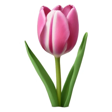 un mazzo di tulipani sticker