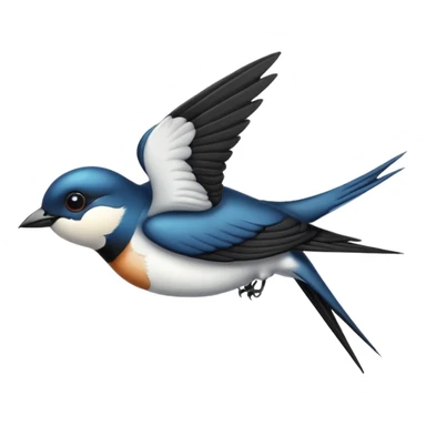Swallow sticker