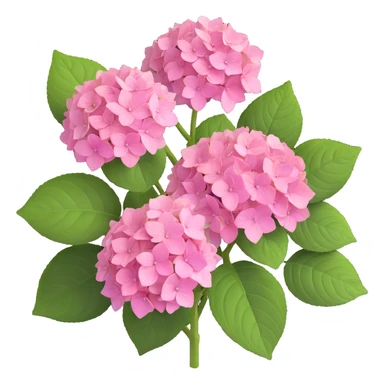 pink hydrangea flower with green leaves sticker