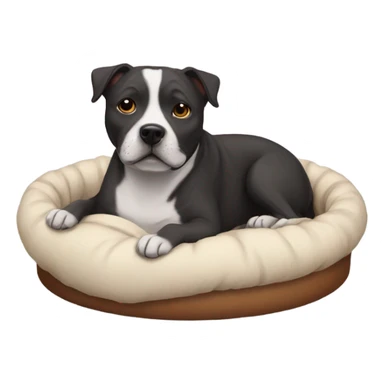 Staffie dog in small bed sticker