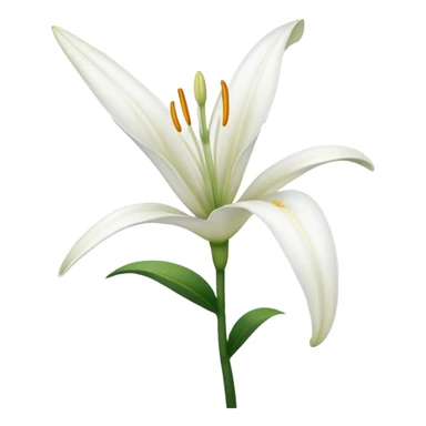 white lily without leaves sticker