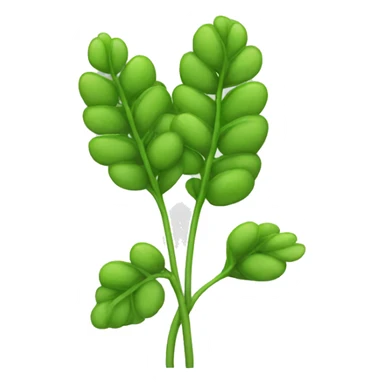 lentil plant sticker