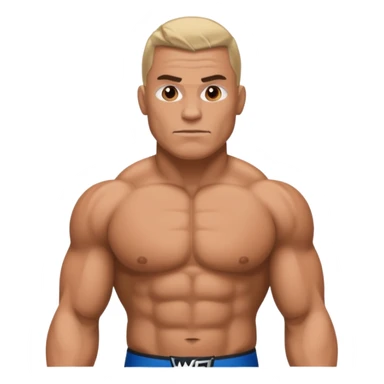 WWE sticker