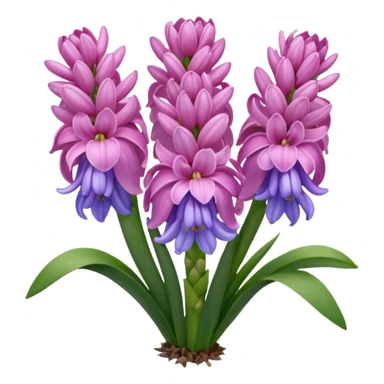 a light margenta  Hyacinth sticker