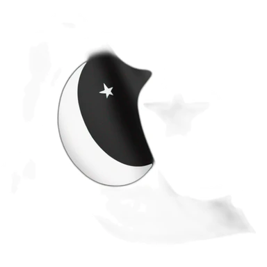 Black Islamic flag sticker