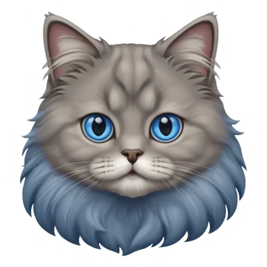 A cat which is a brittish longhair whit is gray color and hes eyes are blue sticker