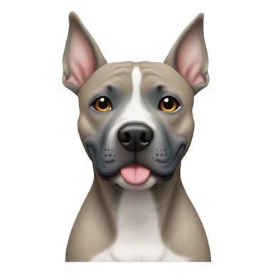Blue fawn American staffy sticker