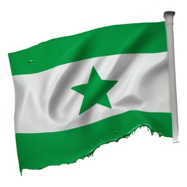 Plalestine flag damaged and wet sticker