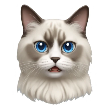 angry shorthaired blue eyed ragdoll cat sticker