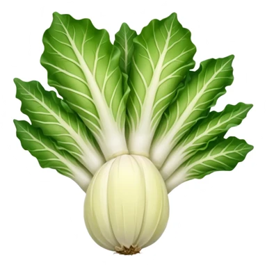 green blegian endive radicchio smooth sticker