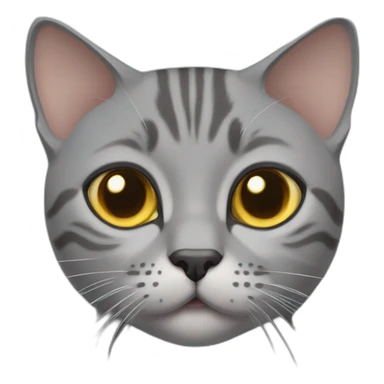 Grey britsh shorthair cat sticker
