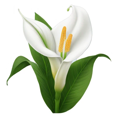 Peace lilies flower sticker