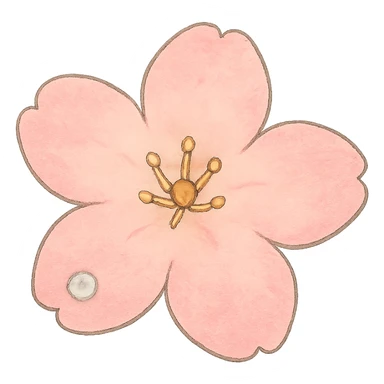 single soft pastel sakura blossom, Japanese hand-drawn kawaii, full object, transparent background, with a tiny dew drop sticker