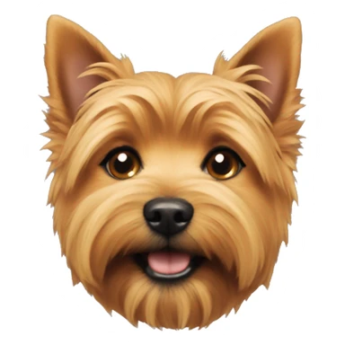 Norwich terrier  sticker