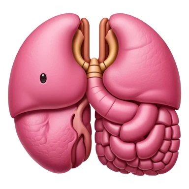 stomach organ sticker