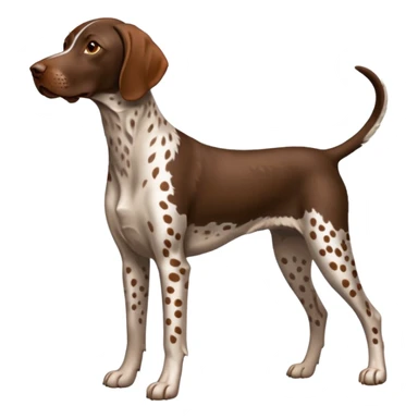 orange spotted german short haired pointer sticker