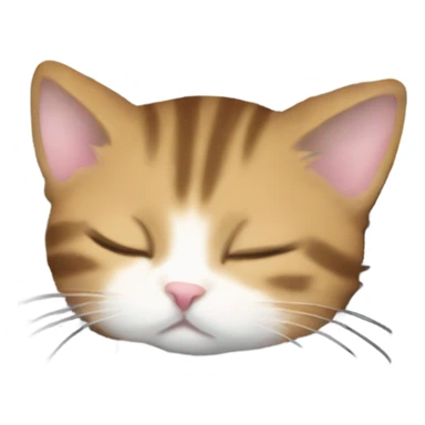 kitten sleeping on piano keys sticker