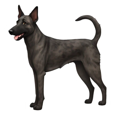 Brindle Dutch shepherd  sticker