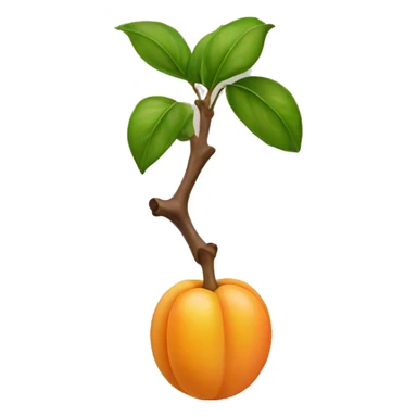A single Apricot sticker