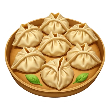Dumplings gyoza  sticker