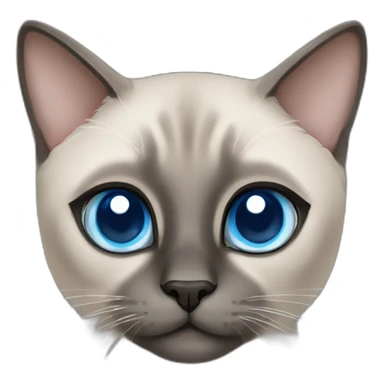 grey siamese cat with big blue eyes sticker