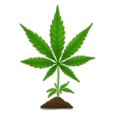 young-cannabis-plant sticker