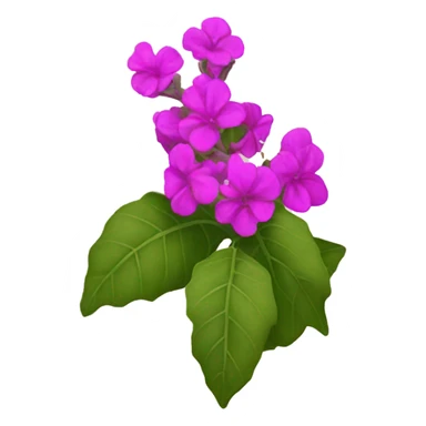 buganvillea  sticker