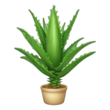 aloe vera sticker