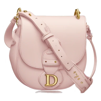 Dior  light pink saddle bag  sticker