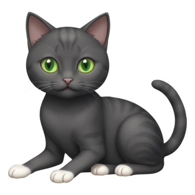 beautiful female solid dark grey cat with green eyes, white toes/paws and white patch on her chest playing sticker