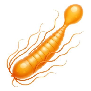 Spermatozoa swimming sticker