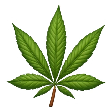 marijuana leaf with cigar sticker