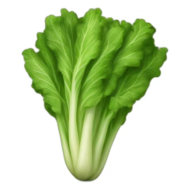 Lechuga sticker