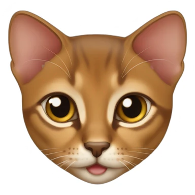abyssinian kitten sticker