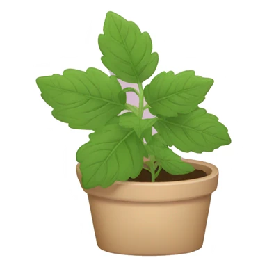 catnip plant sticker