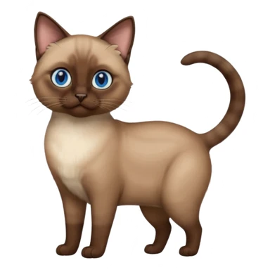 Brown siamese cat, blue eyes, short hair, full height sticker