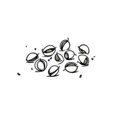 hand drawn doodle style pistachios, sketchy lines, playful and simple sticker