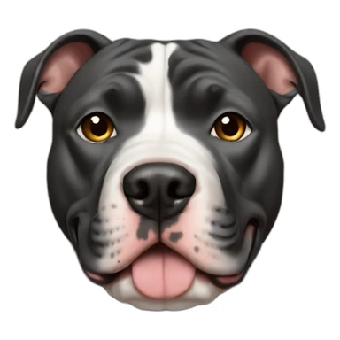 Dog american pitbull black Head sticker