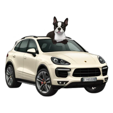 Boston terrier in porsche cayenne sticker