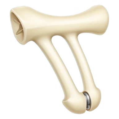 Hueso de la cadera sticker