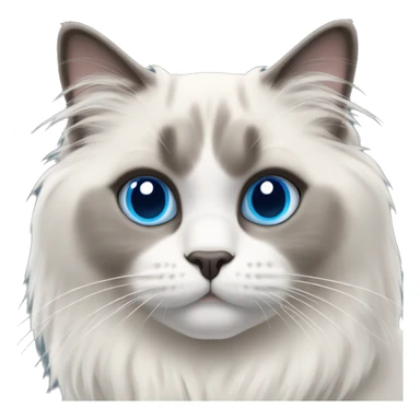 blue point ragdoll kitty sticker