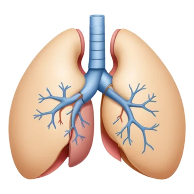 breast anatomy sticker