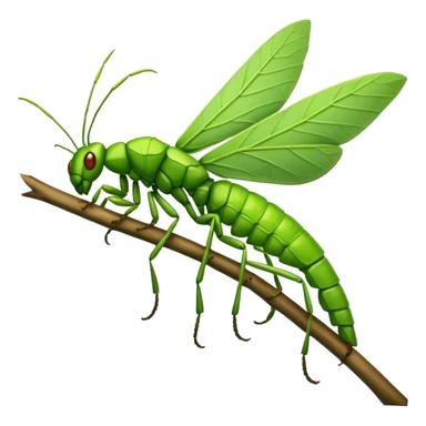 Leaf Insect colored sticker